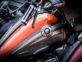 20140712-1159-_DSC1807