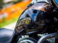20140712-1220-_DSC1904