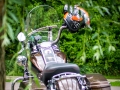 20140712-1224-_DSC1913