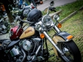 20140712-1839-_DSC2877