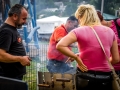 20140712-1948-DSC04938