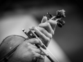 20140717-1942-_DSC3702