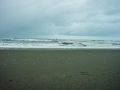 20150205-DSC06385