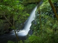 20150212-DSC03597 McLean Falls