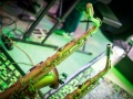 201606082031-_DSC2151