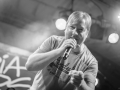201708042136-_DSC8065