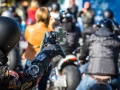 20150927-_DSC2773-1030