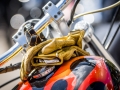 20150927-_DSC3199-1206