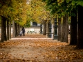 20141024-1722-_DSC6191