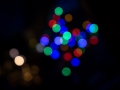 20141206-DSC03986