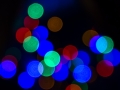 20141206-DSC03987